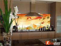 Kính hoa văn ốp bếp